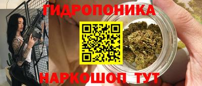 ПСИЛОЦИБИНОВЫЕ ГРИБЫ Гагарин