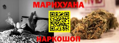 PSILOCYBIN Гатчина