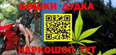 PSILOCYBIN Гатчина