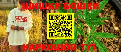 PSILOCYBIN Гатчина