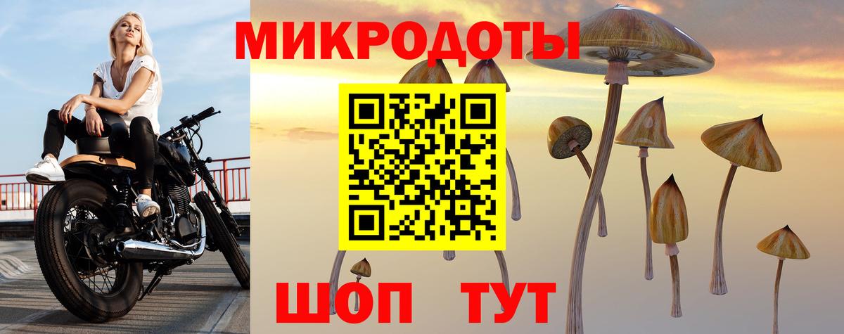 Галлюциногенные грибы Psilocybine cubensis  Галлюциногенные грибы Psilocybe  Гуково  Вход с VPN 